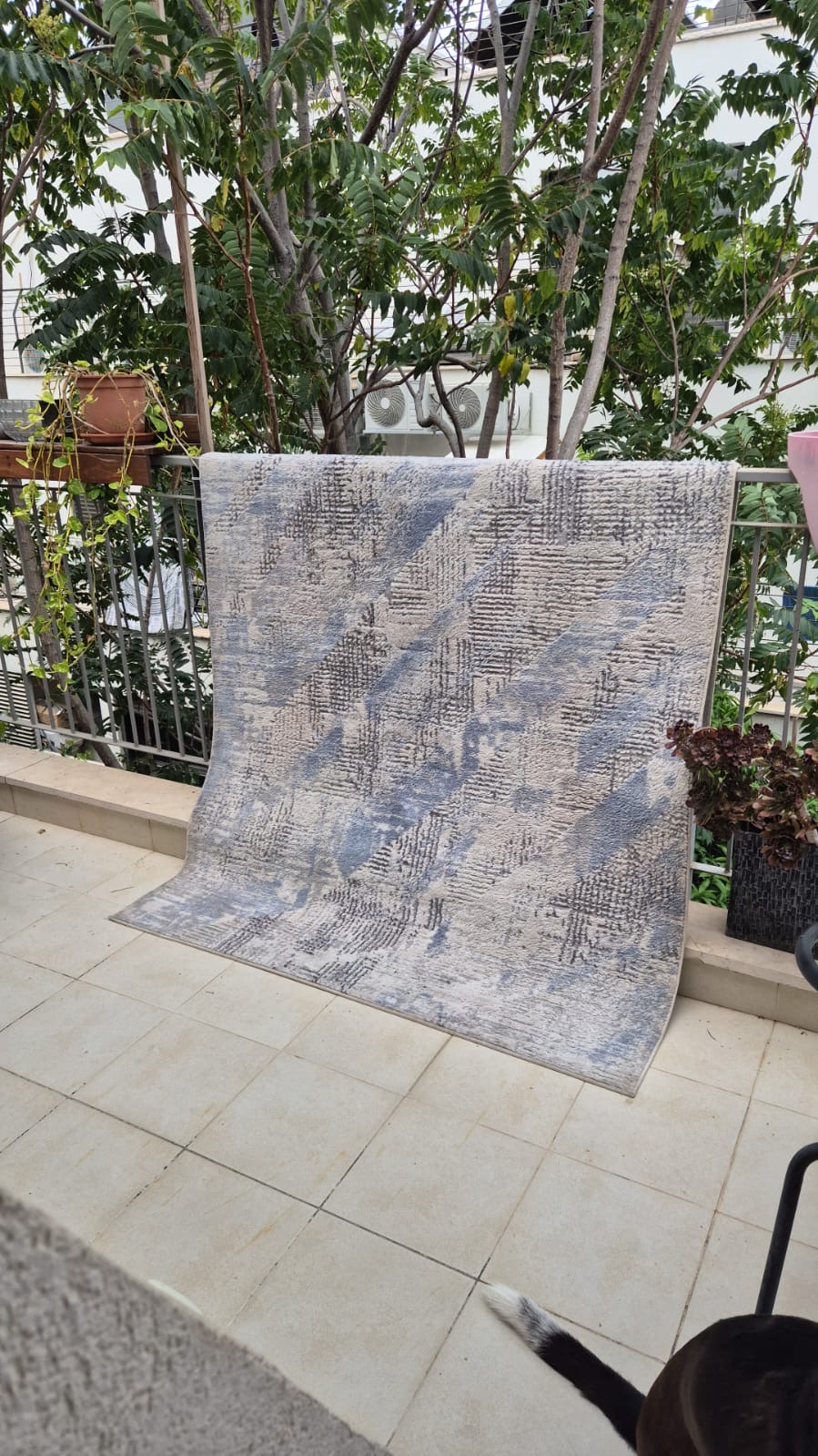 שטיח אחרי ניקוי יסודי